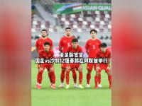 爱游戏登录入口-关于阿联酉球员成功进军亚足联球队的信息