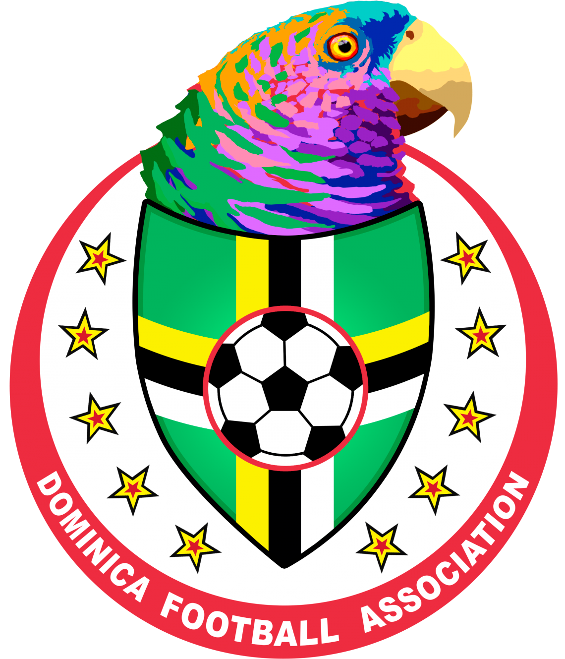 关于多米尼克·卡尔维特将领导法国队迎接挑战的信息